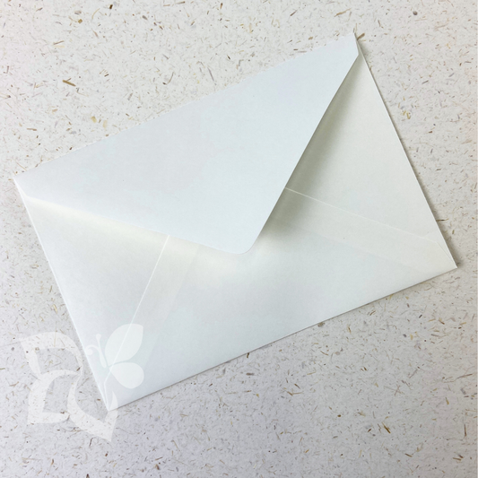 Busta Liscia Avorio - 120 g/mq