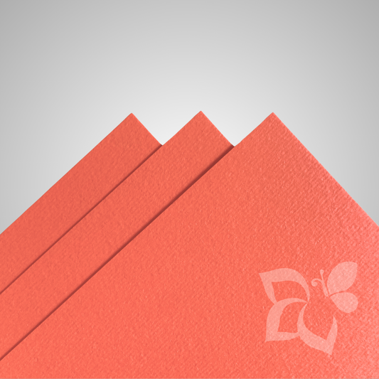 Fabriano Elle Erre Aragosta - 220 g/mq