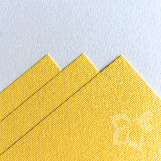 Fabriano Elle Erre Cedro - 220 g/mq