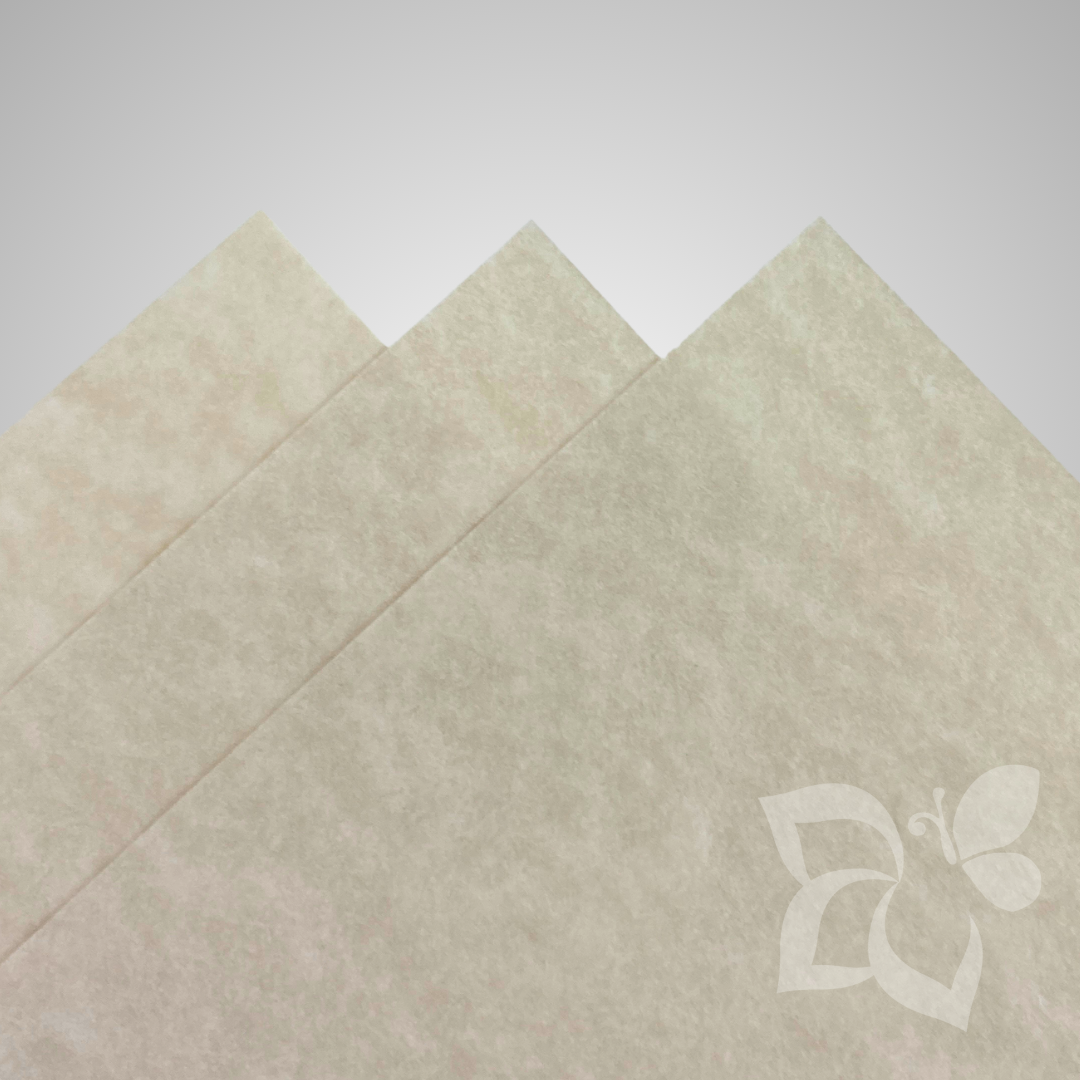 Favini Laguna Sabbia - 180 g/mq