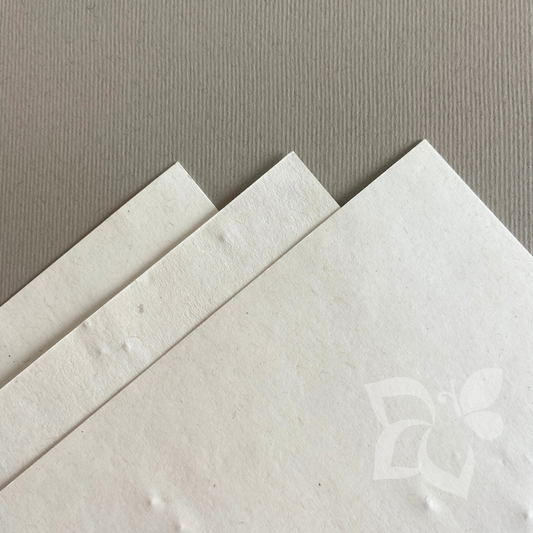 Carta piantabile con semi - 300 g/mq