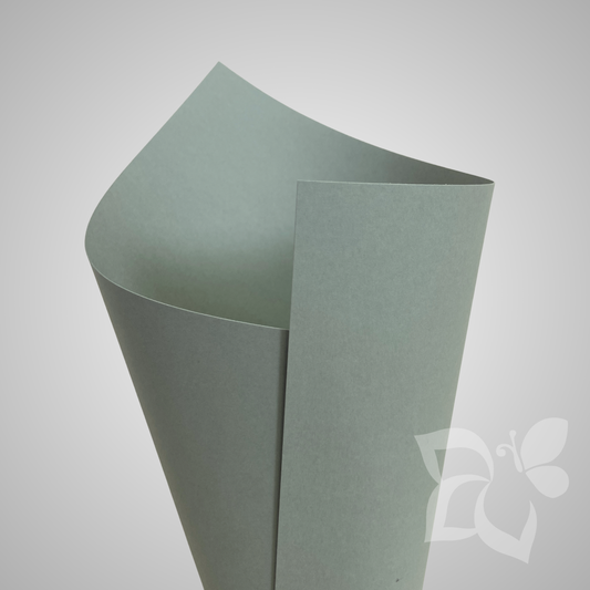 Arjowiggins Keaykolour Lichen - 300 g/mq