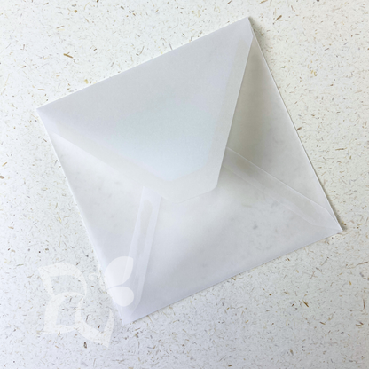 Busta Traslucida 140 g/mq