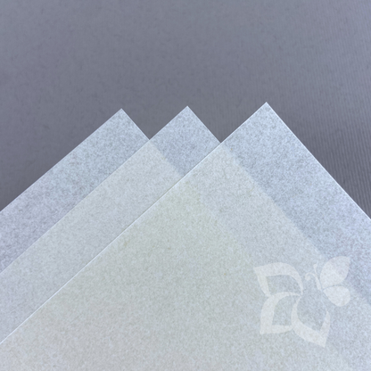 Fedrigoni Pergamena Bianco - 160 g/mq