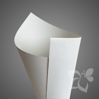 Icma 100% R Bases 1217/181 Pizzo panna - 120 g/mq